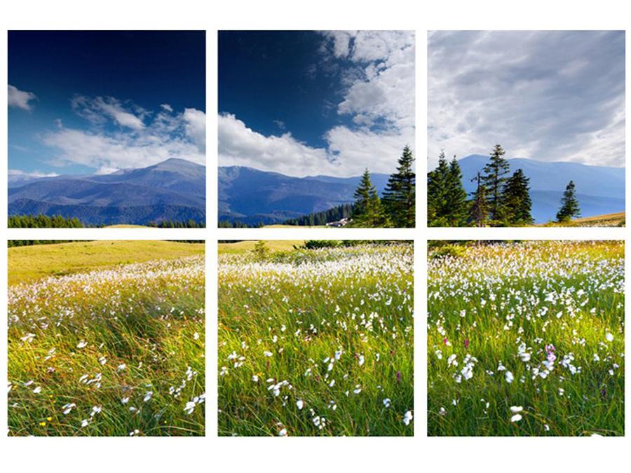 Swiss Alps in the Summer Scene NEW Wall Art