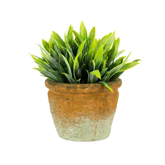 Terracotta - Potted Artificial Grass Plant  NEW Plants & Pots