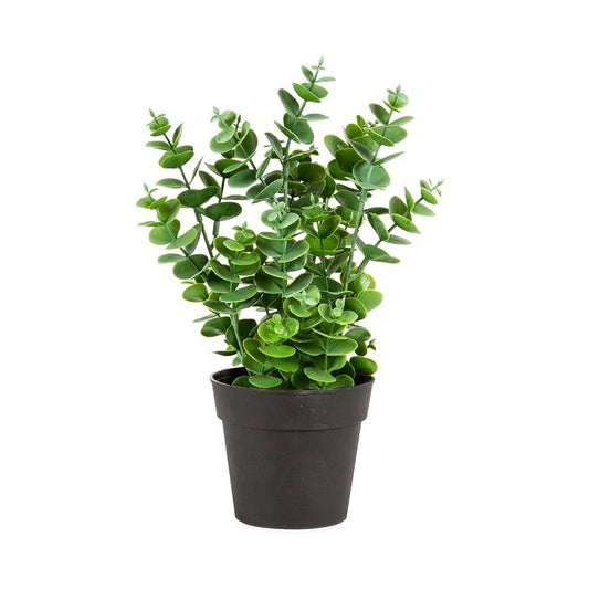 Potted Artificial Eucalyptus Plant  NEW Plants & Pots