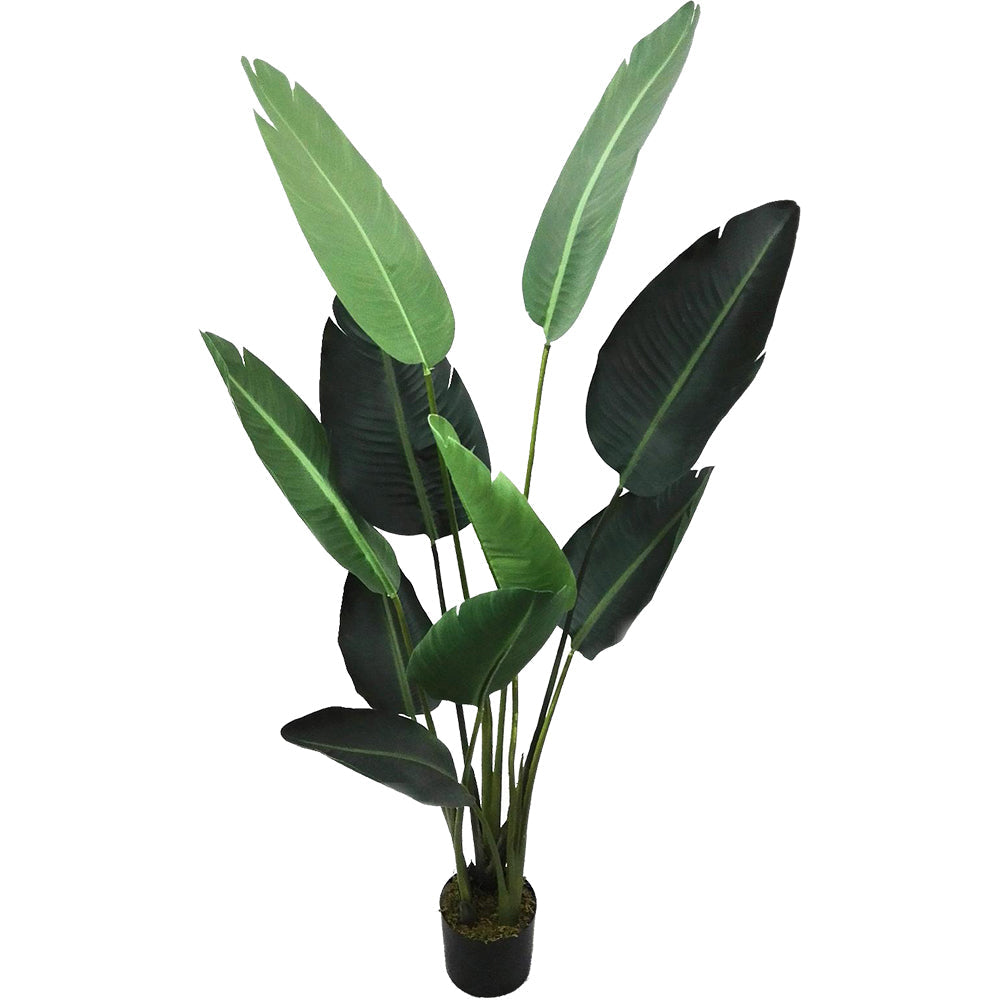 Potted Artificial Faux Strelitzia Plant 150cm