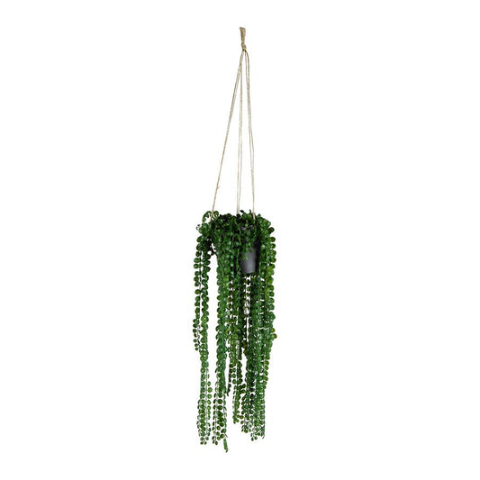 Potted Hanging Artificial Coin-Leaf Peperomia 14x45-80cm