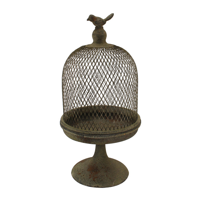 Antique Finish Cloche w/Bird 19x19x39cm