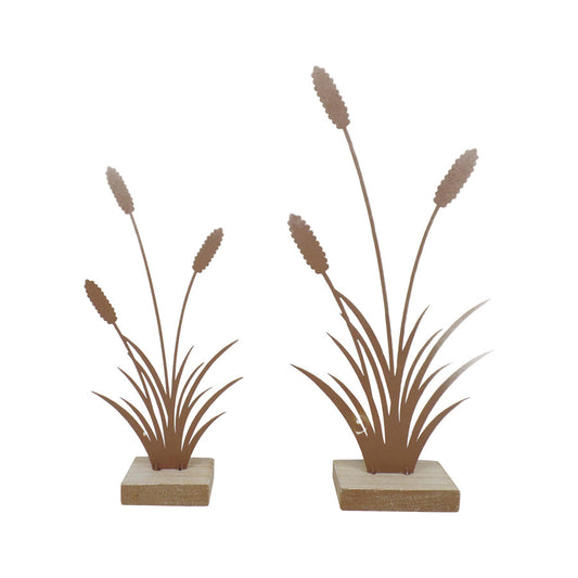 Set/2 Asst Size Rust Bulrushes on Base 14.5x5x30.5/11x4.5x23cm