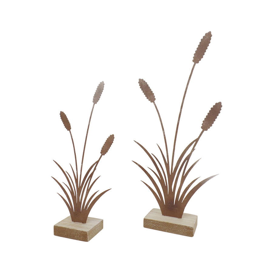 Set/2 Asst Size Rust Bulrushes on Base 14.5x5x30.5/11x4.5x23cm