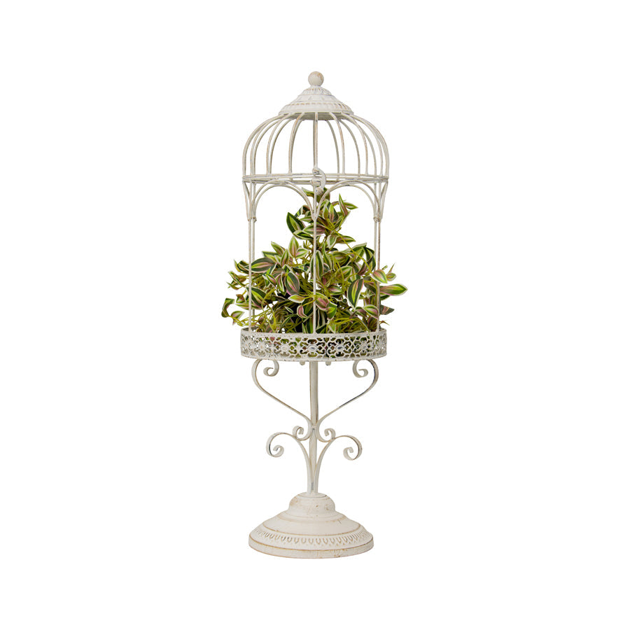 Martinique Arch Planter/Candleholder Cage on Base 22x72cm