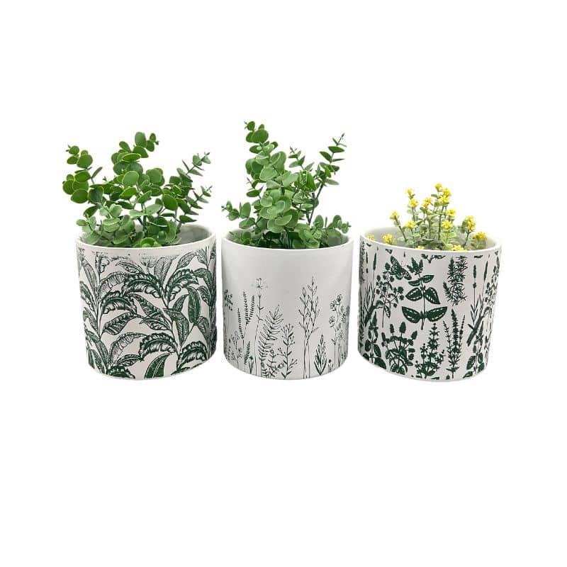 Set/3 Assorted Tropical Leaf Planters w/Hole+Plug 16.5x16.5x15cm