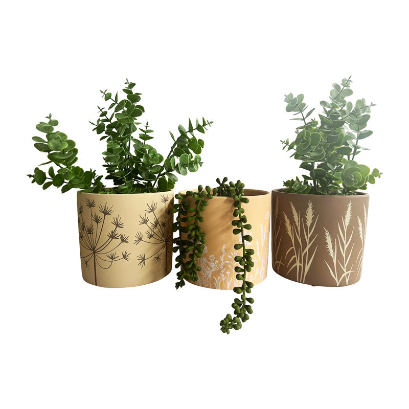 Set/3 Asst Palm/Stripe Planters w/Hole+Plug 17.5x17.5x16cm