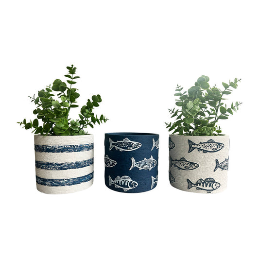 Set/3 Assorted Fish/Stripe Planters w/Hole+Plug 14x14x13cm